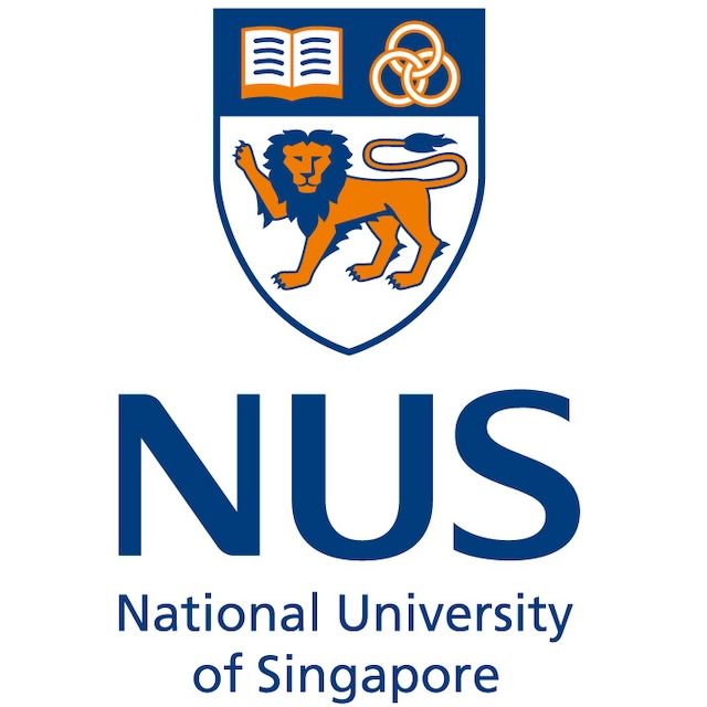 National University of Singapore National University of Singapore
